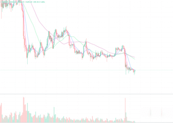 11月23日的比特币行情