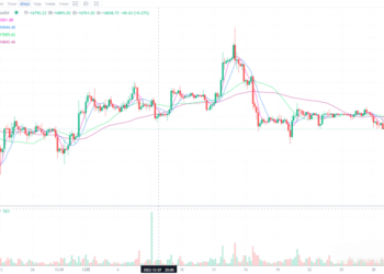 12月29日的比特币行情