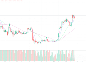 2023年2月22日的比特币行情