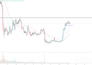 2023年2月9日的比特币行情