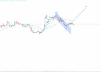 2023年3月1日的比特币行情