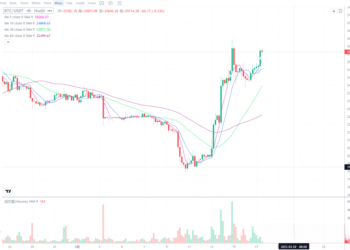 2023年3月17日的比特币行情
