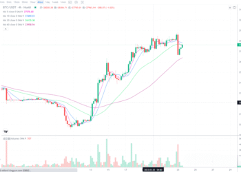 2023年3月23日的比特币行情