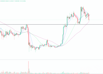 2023年3月4日的比特币行情