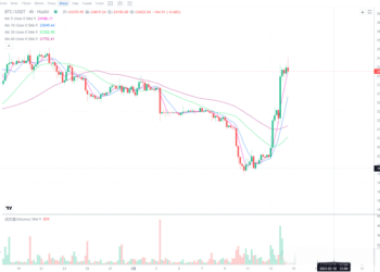2023年3月14日的比特币行情
