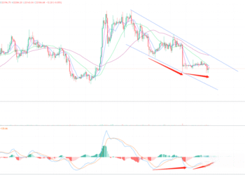 2023年3月8日的比特币行情