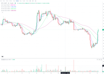 2023年3月13日的比特币行情