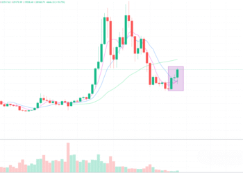 2023年3月31日的比特币行情