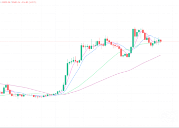 2023年3月2日的比特币行情