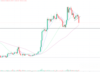 2023年3月3日的比特币行情
