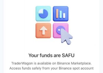 traderwagon的币安登录授权功能