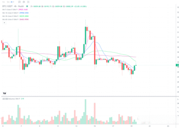 2023年7月19日的比特币行情