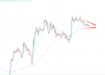 2023年8月8日的比特币行情