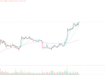 2023年11月25日的比特币行情