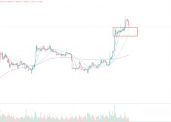 2023年11月15日的比特币行情