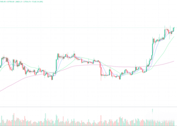 2023年11月21日的比特币行情