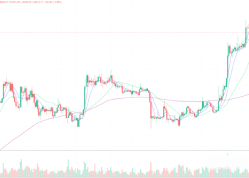 2023年11月14日的比特币行情