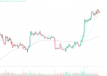 2023年11月28日的比特币行情