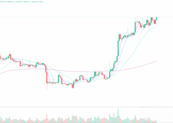 2023年11月29日的比特币行情