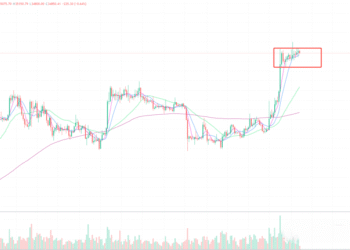 2023年11月7日的比特币行情