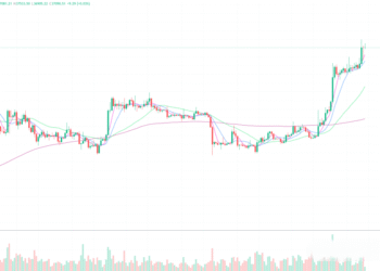 2023年11月11日的比特币行情