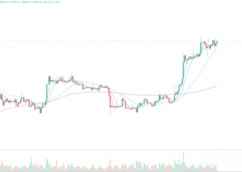 2023年11月24日的比特币行情