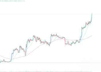 2023年12月5日的比特币行情
