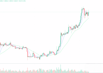 2023年12月20日的比特币行情