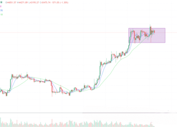 2024年1月8日的比特币行情