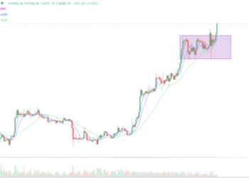 2024年1月9日的行情