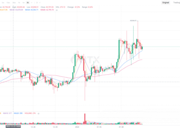 2024年1月12日的比特币行情