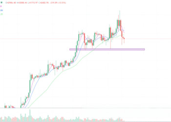 2024年1月15日的比特币行情