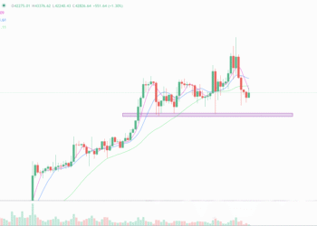 2024年1月16日的比特币行情