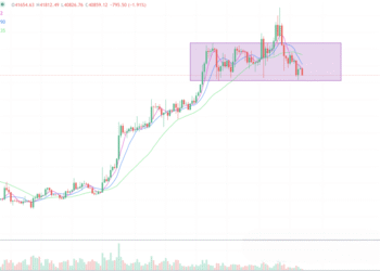 2024年1月23日的比特币行情