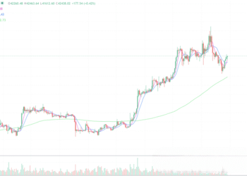 2024年1月29日的比特币行情