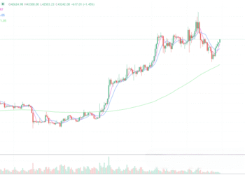 2024年1月30日的比特币行情