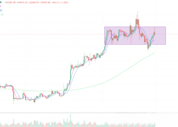 2024年1月31日的比特币行情