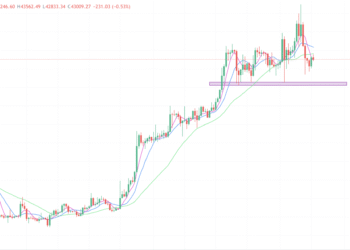 2024年1月17日的比特币行情