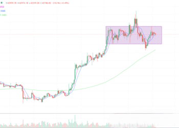 2024年2月5日的比特币行情
