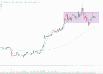 2024年2月6日的比特币行情