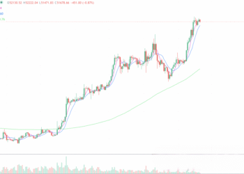 2024年2月20日的比特币行情