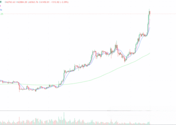 2024年3月1日的比特币行情