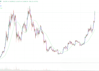2024年3月2日的比特币行情