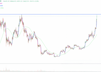 2024年3月5日的比特币行情
