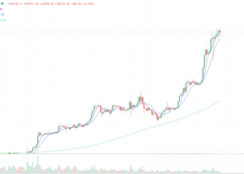 2024年3月11日的比特币行情