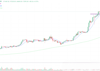 2024年3月13日的比特币行情