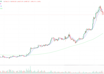 2024年3月19日的比特币行情