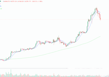 2024年3月20日的比特币行情