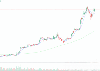 2024年3月29日的比特币行情