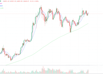 2024年5月31日的比特币行情